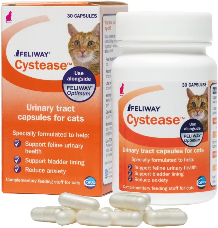 Cystease for cats supplement bottle next to a relaxed cat